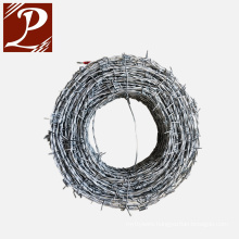 Brazilian Market Electric Galvanized Barbed Wire